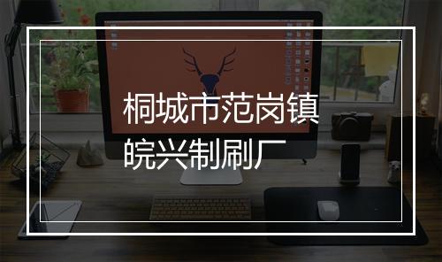 桐城市范岗镇皖兴制刷厂