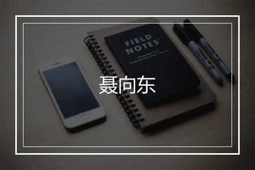 聂向东
