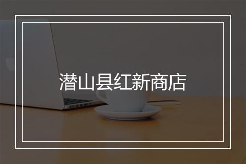 潜山县红新商店