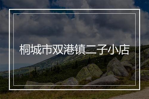 桐城市双港镇二子小店