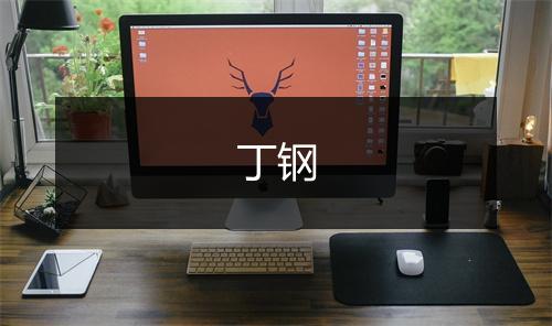 丁钢