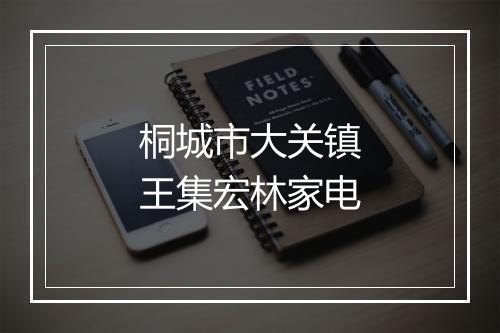 桐城市大关镇王集宏林家电