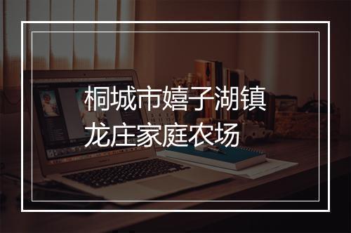 桐城市嬉子湖镇龙庄家庭农场