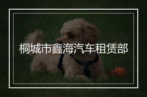桐城市鑫海汽车租赁部