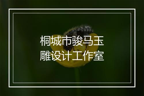 桐城市骏马玉雕设计工作室