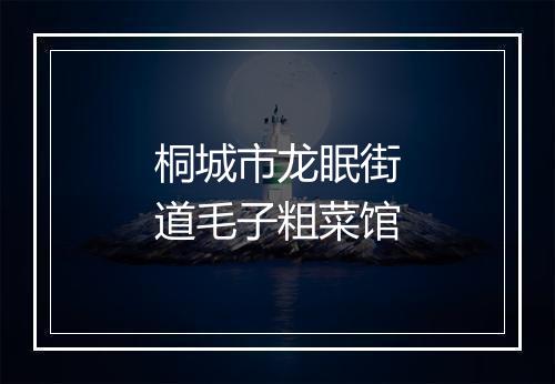 桐城市龙眠街道毛子粗菜馆