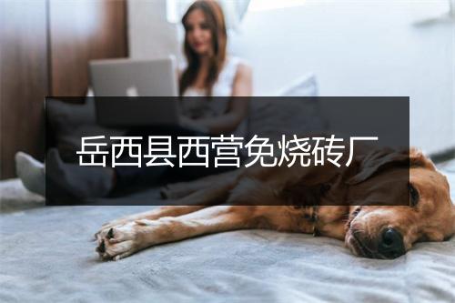 岳西县西营免烧砖厂