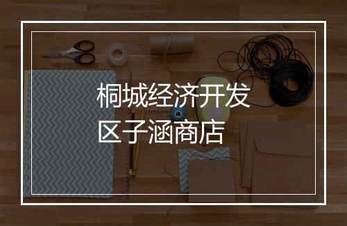 桐城经济开发区子涵商店