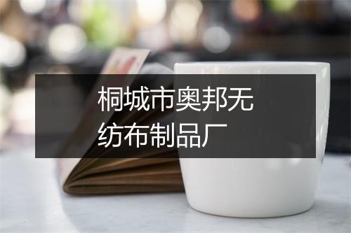 桐城市奥邦无纺布制品厂