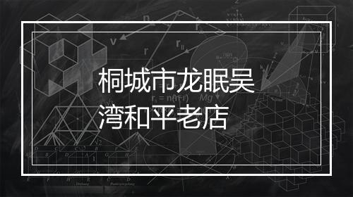 桐城市龙眠吴湾和平老店