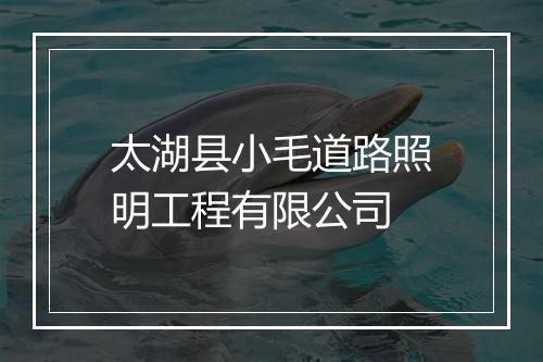 太湖县小毛道路照明工程有限公司