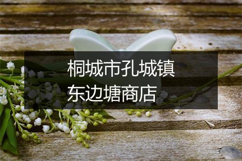 桐城市孔城镇东边塘商店