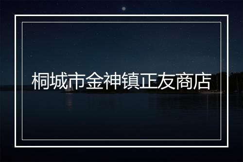 桐城市金神镇正友商店