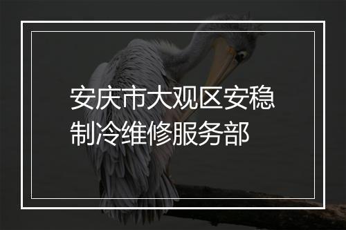 安庆市大观区安稳制冷维修服务部