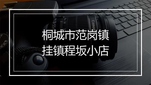 桐城市范岗镇挂镇程坂小店