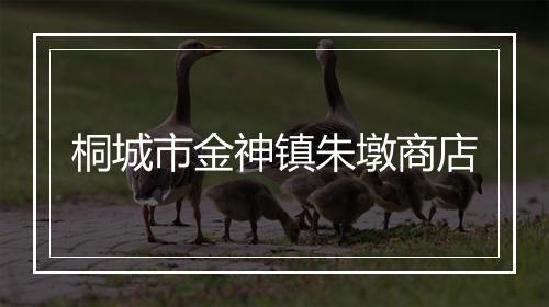 桐城市金神镇朱墩商店