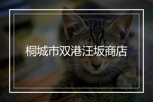 桐城市双港汪坂商店