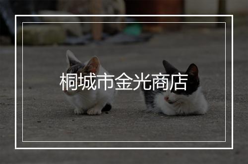 桐城市金光商店