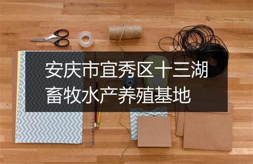 安庆市宜秀区十三湖畜牧水产养殖基地