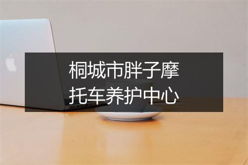 桐城市胖子摩托车养护中心