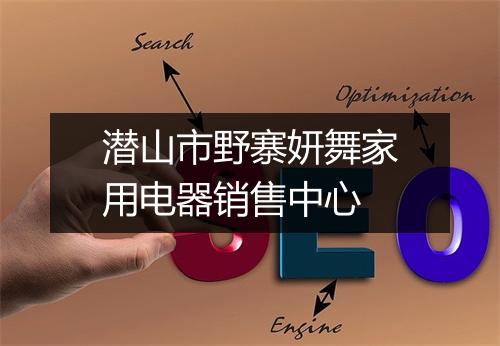 潜山市野寨妍舞家用电器销售中心