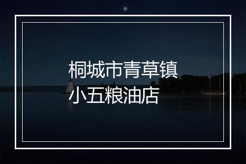 桐城市青草镇小五粮油店