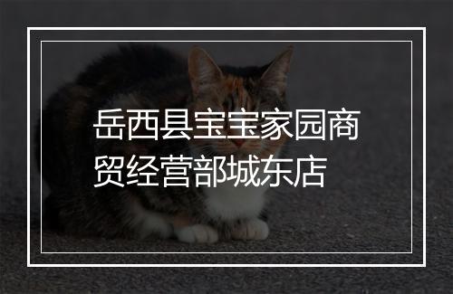 岳西县宝宝家园商贸经营部城东店