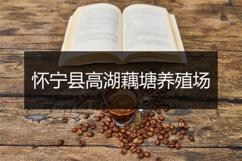 怀宁县高湖藕塘养殖场