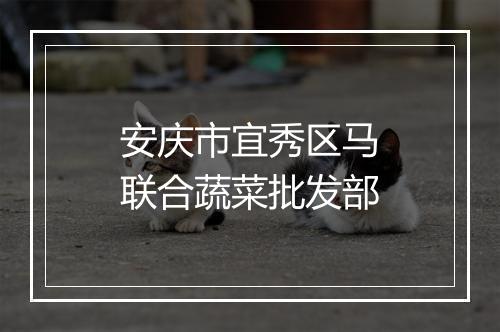 安庆市宜秀区马联合蔬菜批发部