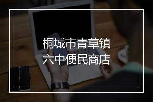 桐城市青草镇六中便民商店