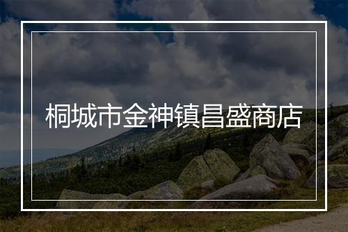 桐城市金神镇昌盛商店