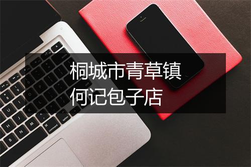 桐城市青草镇何记包子店