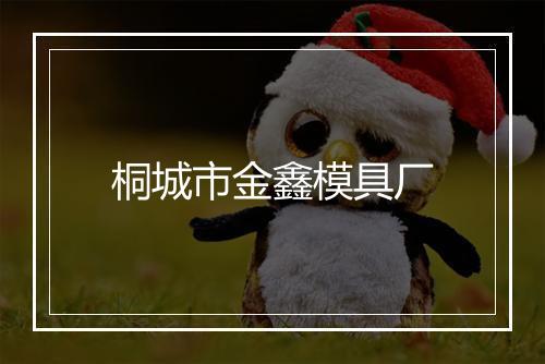 桐城市金鑫模具厂