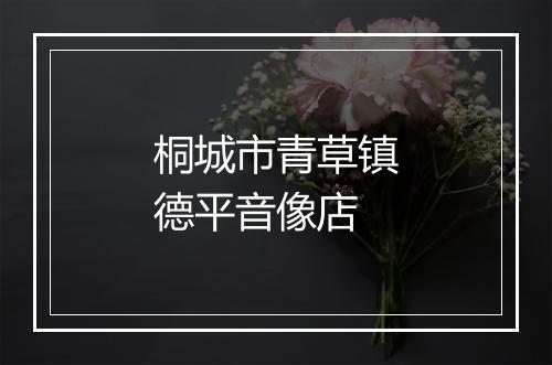 桐城市青草镇德平音像店