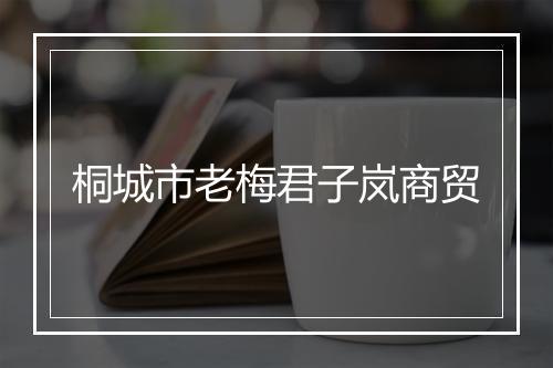 桐城市老梅君子岚商贸