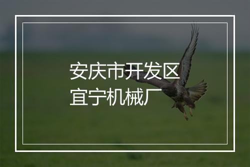 安庆市开发区宜宁机械厂