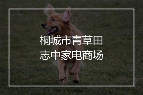 桐城市青草田志中家电商场