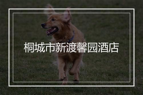 桐城市新渡馨园酒店
