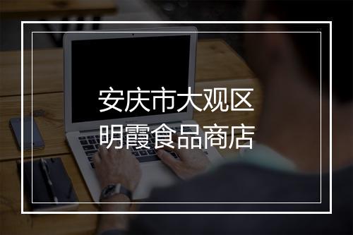 安庆市大观区明霞食品商店
