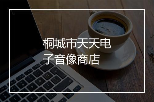 桐城市天天电子音像商店