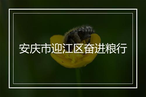 安庆市迎江区奋进粮行