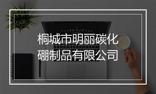 桐城市明丽碳化硼制品有限公司