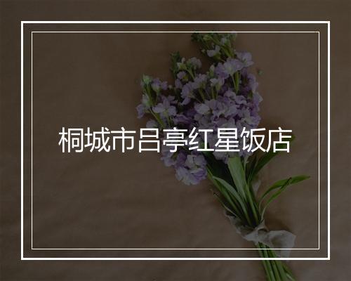桐城市吕亭红星饭店