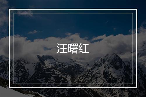 汪曙红