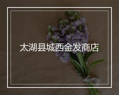太湖县城西金发商店