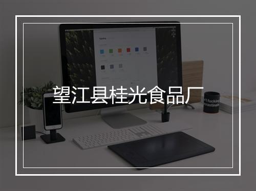 望江县桂光食品厂