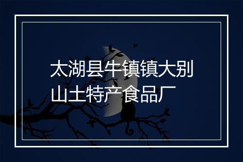 太湖县牛镇镇大别山土特产食品厂