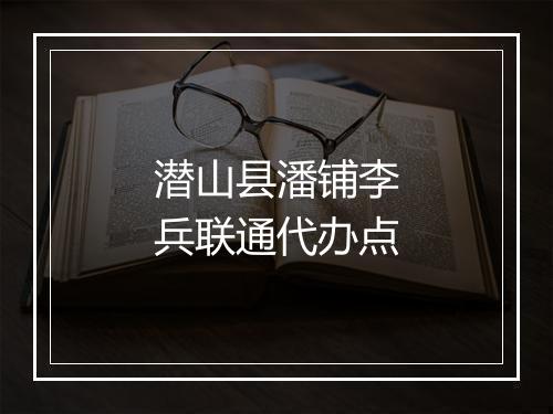 潜山县潘铺李兵联通代办点
