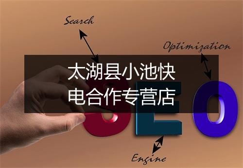 太湖县小池快电合作专营店