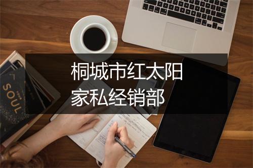 桐城市红太阳家私经销部